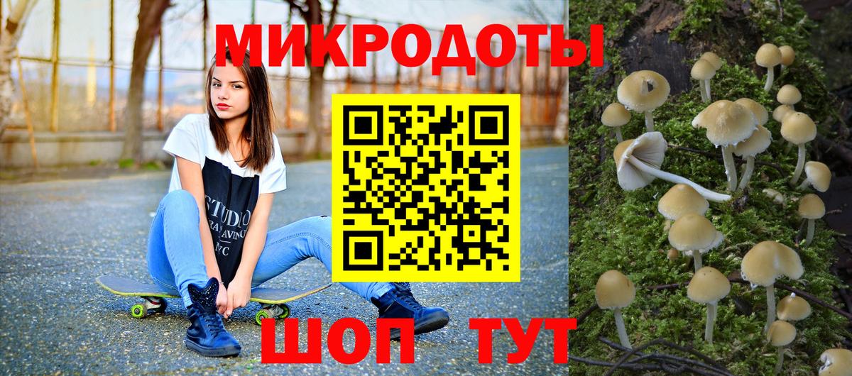 Галлюциногенные грибы Psilocybe Лениногорск