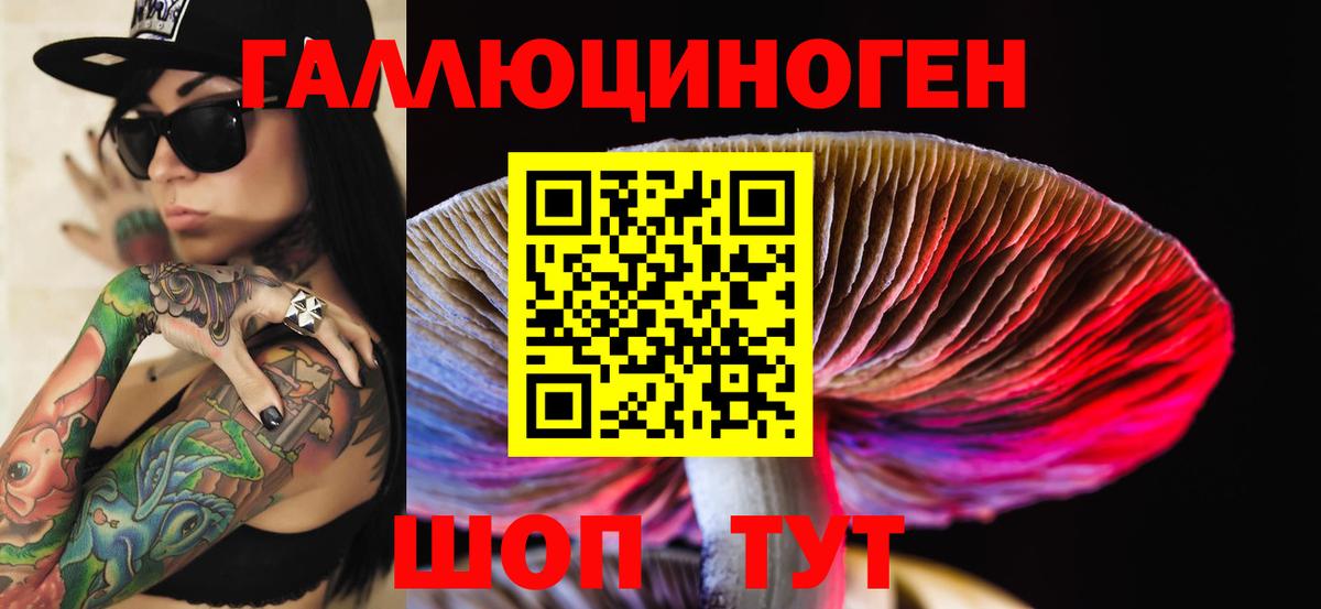 Псилоцибиновые грибы мицелий  Вход с VPN  Лениногорск  Галлюциногенные грибы GOLDEN TEACHER 