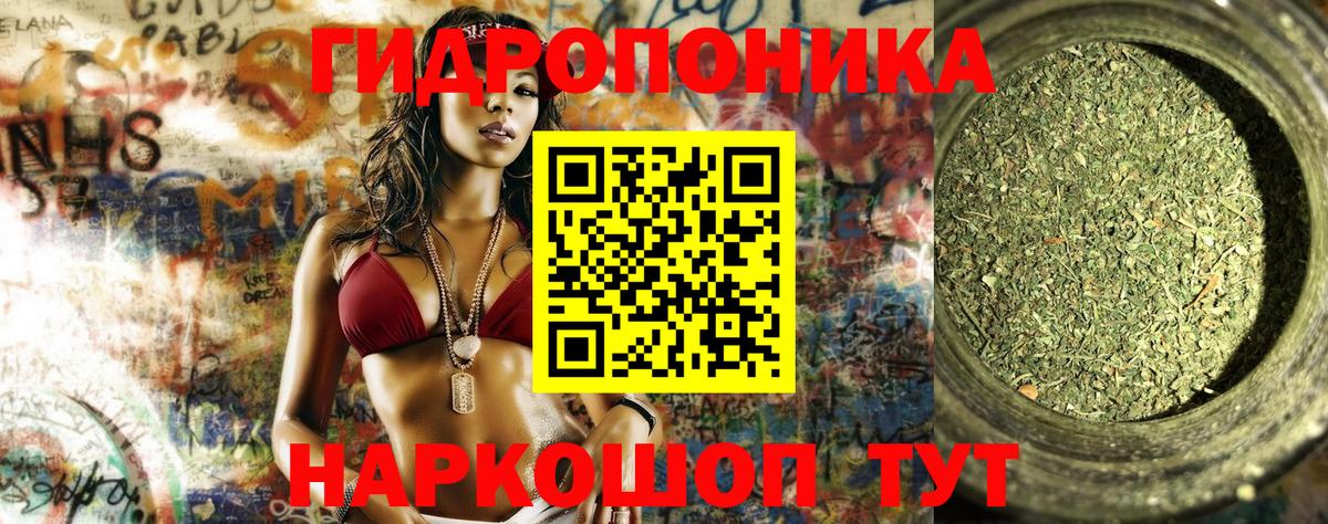 Бошки Шишки THC 21%  Вход с VPN  Лениногорск  МАРИХУАНА тримм  МАРИХУАНА AK-47 
